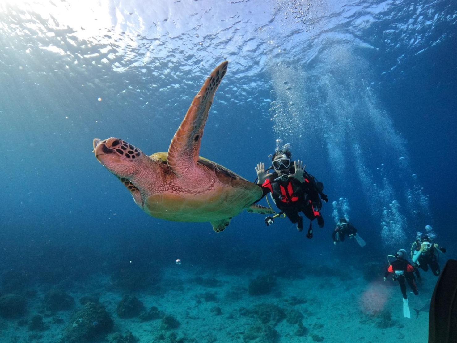 Отель 樂見海 Грин-Айленд Экстерьер фото